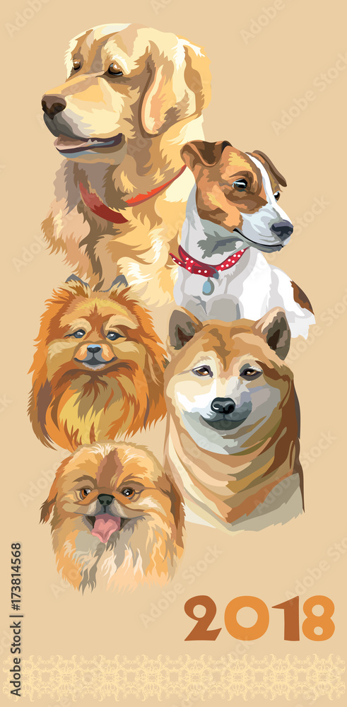 Postcard with dogs of different breeds-3