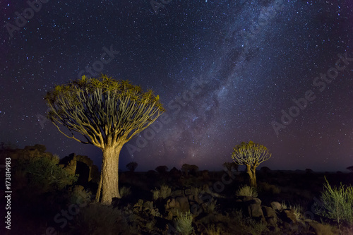 Quiver Trees with milky way at Giants Playground, Keetmanshoop,