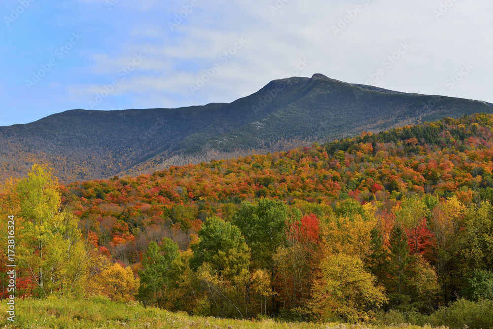 Autumn on Mount Mansfield, Vermont