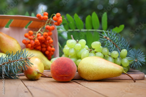 Fototapeta Naklejka Na Ścianę i Meble -  Pears, peaches, green grapes and rowan berries with fir branches for a Christmas dinner