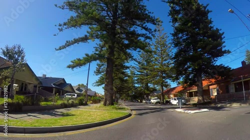 4k driving POV driving along pine tree canopy street into the sun, taken along East Terrace Henley Beach, South Australia. photo