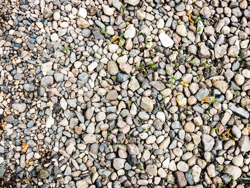 River stones with leaves texture River stones with leaves texture