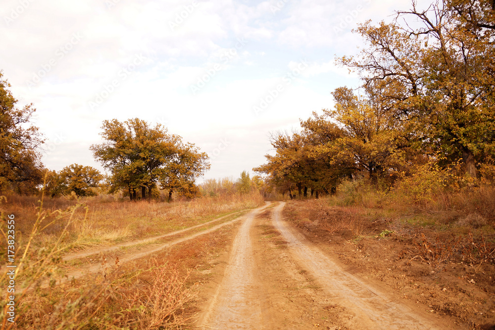 Naklejka premium Dirt road in the Zavolzhye steppe
