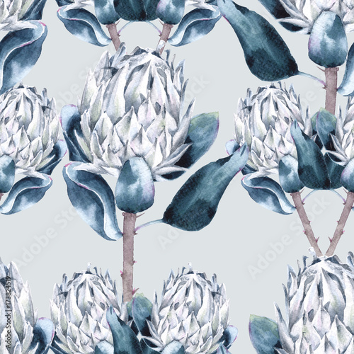 Background of flowers protea. Seamless pattern.