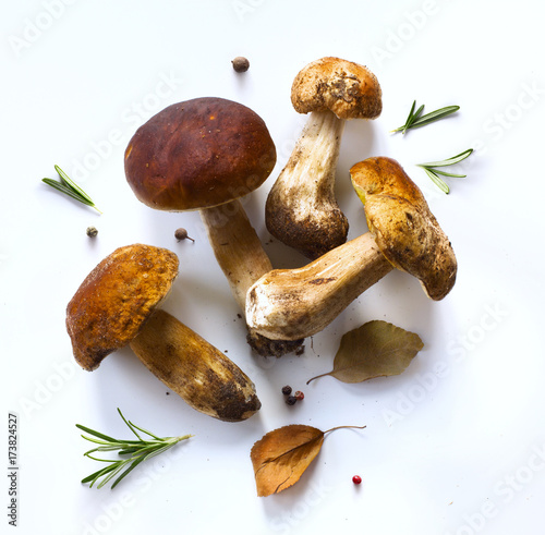 autumn cooking  background;  organic porcini Mushroom; seasoning forest Mushroom and Italian Spices Herb photo