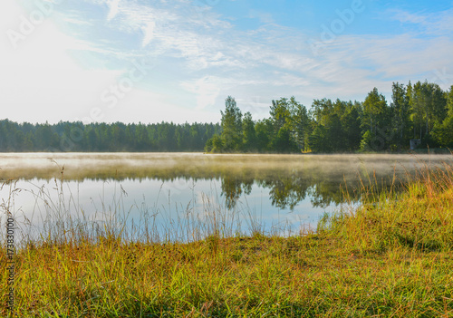 Summer morning