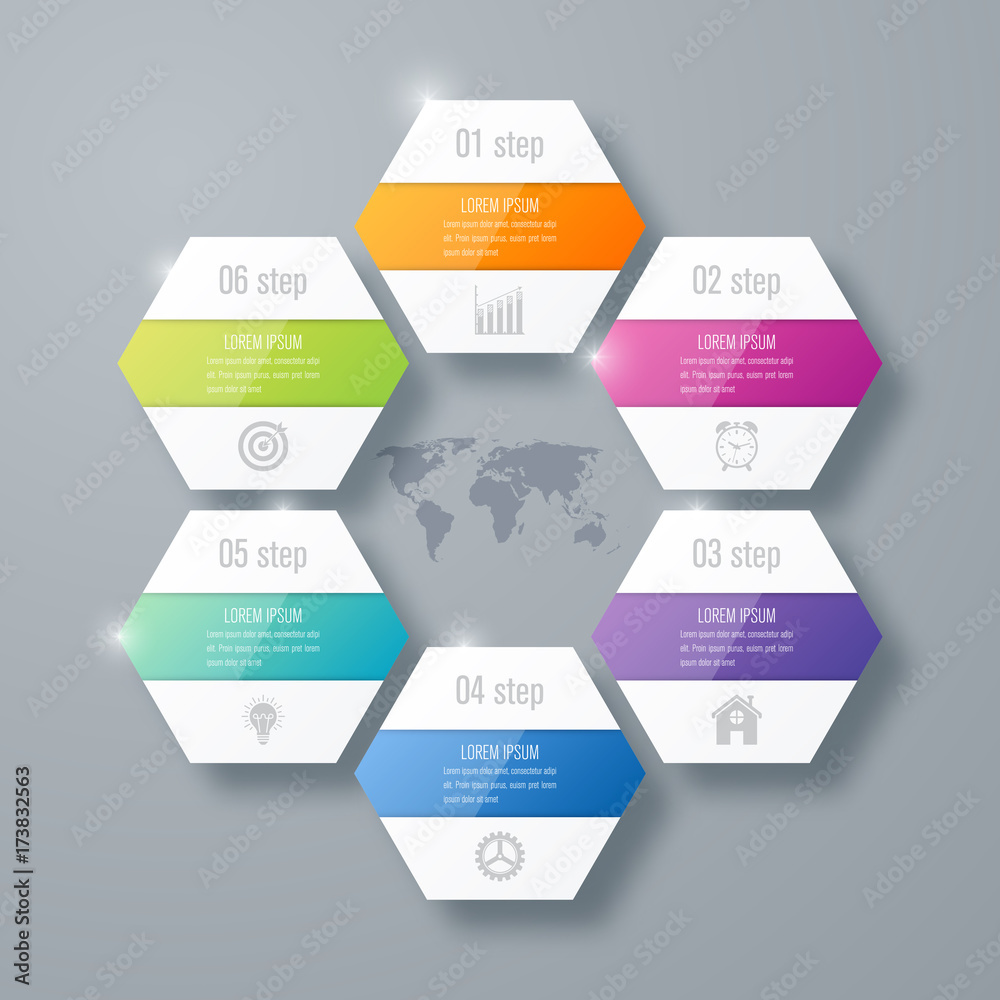 Vector illustration infographics six options