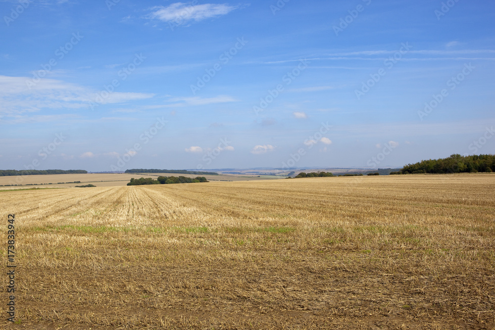 scenic wheat stubble fields