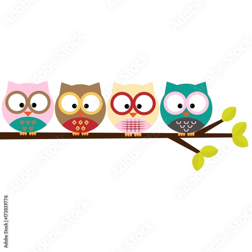 owls on a branch 