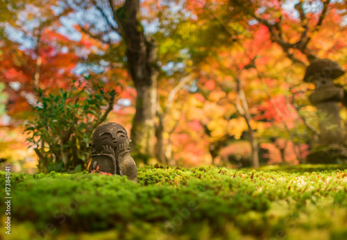 Abstract Japaneses garden with soft focus of the colorful autumn leaves