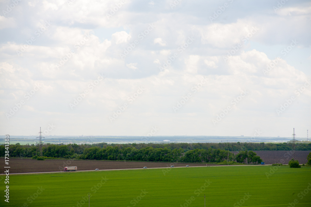 Obraz premium Green meadow under blue sky with clouds Green field bright green young grass wheat barley spring field shoots on the field young grass