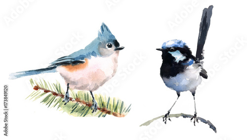 Titmouse and Fairy Wren Two Birds Watercolor Hand Painted Illustration Set isolated on white background