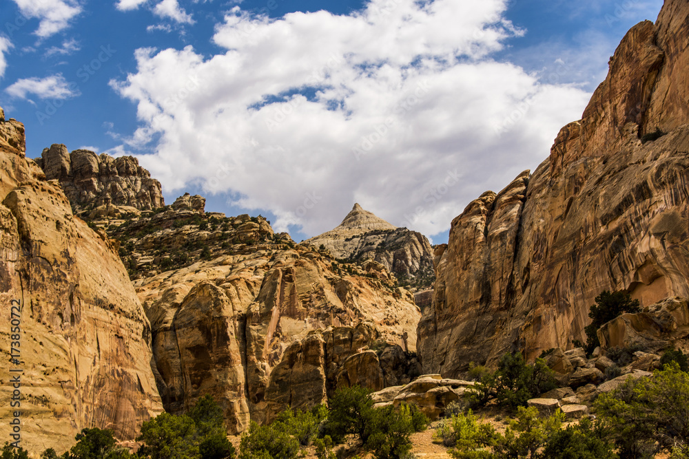 Fototapeta premium Pectols Pyramid Towers Over Capital Reef National Park