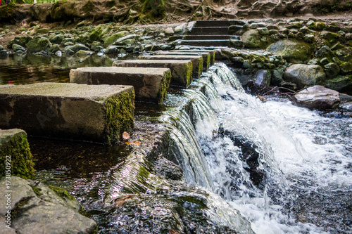 river bricks in the green forest