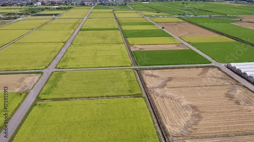 Wallpaper Mural 日本の田園をドローンで空撮③ Torontodigital.ca