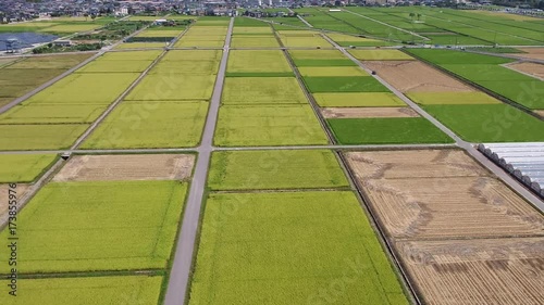 Wallpaper Mural 日本の田園をドローンで空撮② Torontodigital.ca