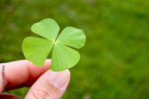 Hand that hold the clover leaf.