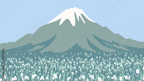 Landscape of high mountain and Galanthus or snowdrop flower field