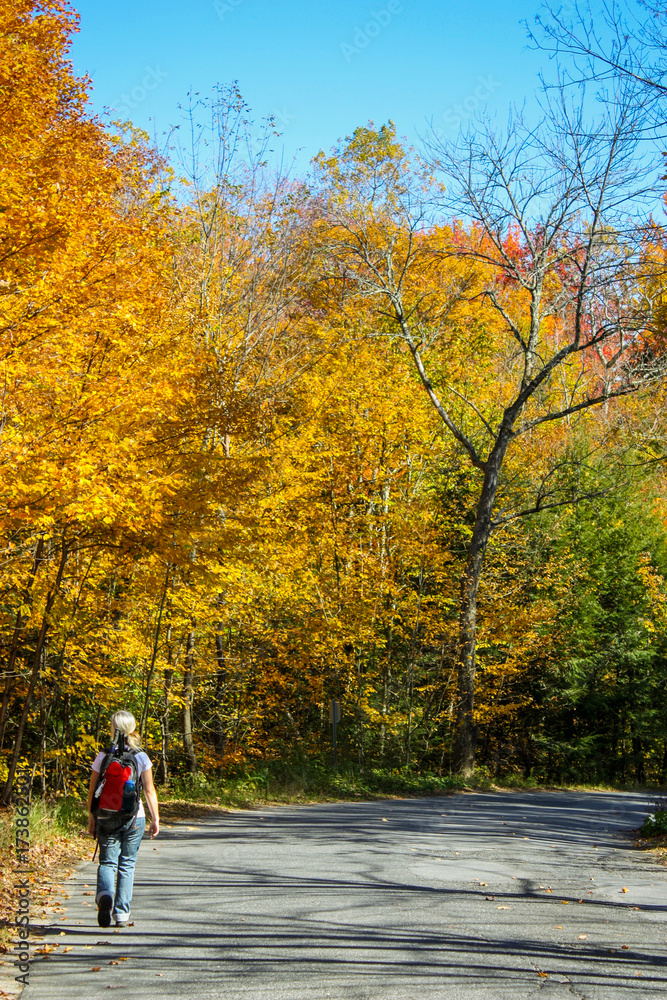 girl going hiking in a colorful forest