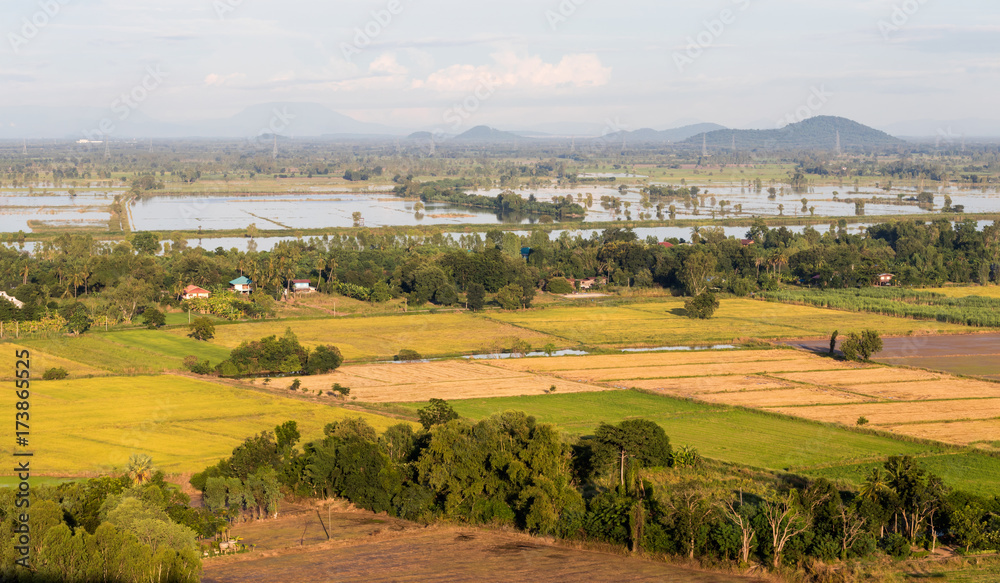 Above rice fields in the Thai countryside.
