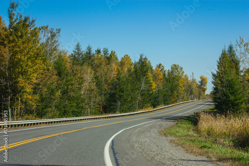 endless road going into the forest