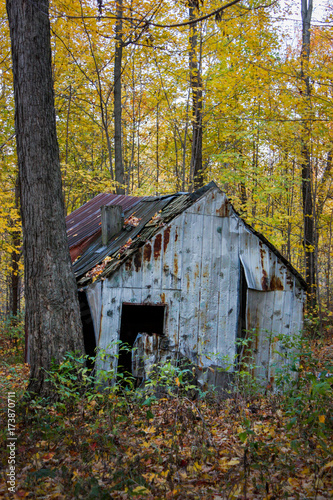 old barn in the woods in fall season