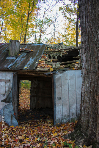 old barn in the woods in fall season