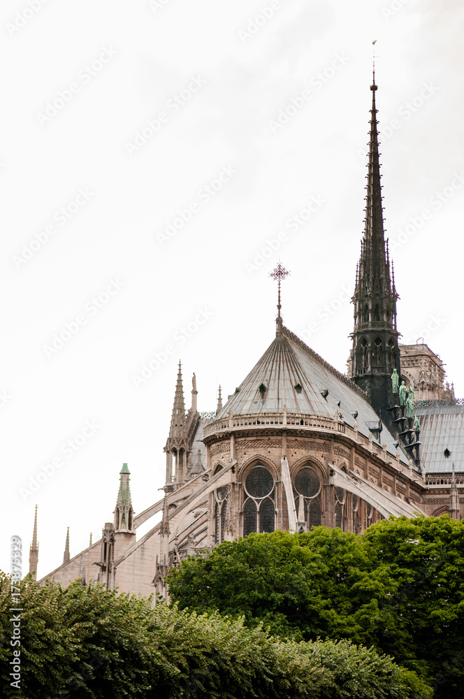 Notre Dame Cathedral La fontaine de la Vierge