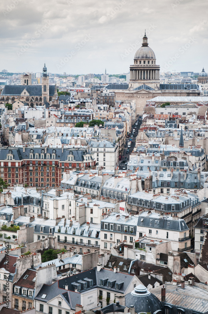 Aerial view of Paris cityscape and dome of Pantheon