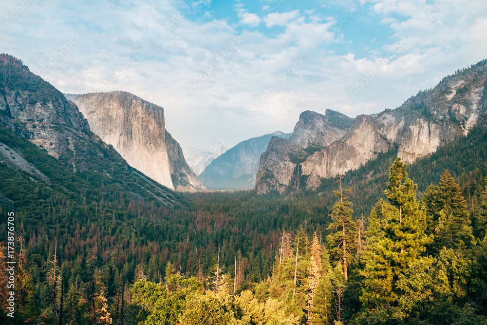 amazing view of yosemite valley with el capitan mountain at background