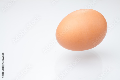 Close up of an egg isolated
