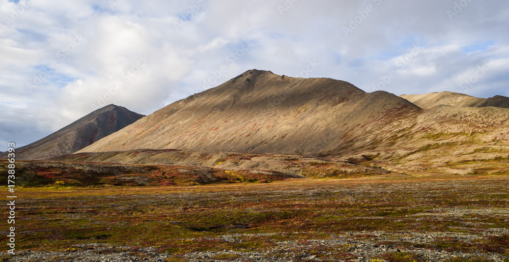 Gavriila Bay, tundra colours in Autumn, Russia