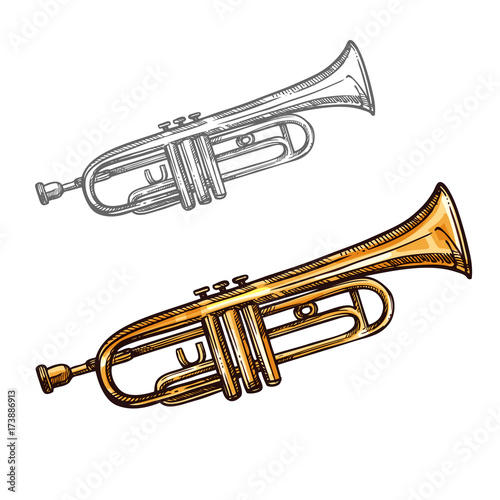 Vector sketch trumpet musical instrument