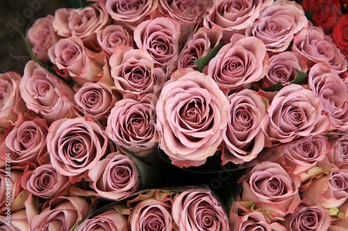 Bunch of Roses on Farmers Market in Germany