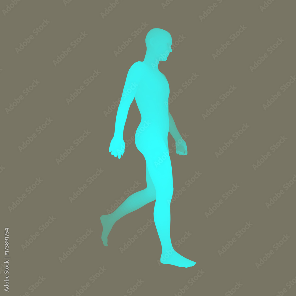 Walking Man. 3D Human Body Model. Design Element. Vector Illustration. Walking Man. 3D Human Body Model. Design Element. Vector Illustration.