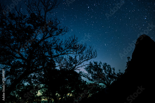Night scape with beautiful stary sky at the high mountain and some tree branch and the city light at below. Space background.