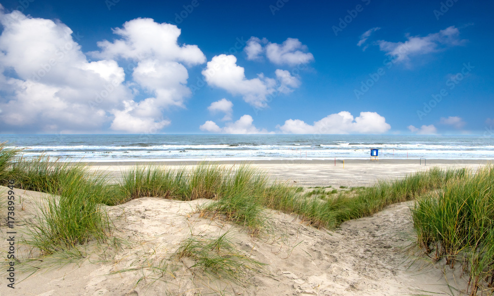 Wunschmotiv: Nordsee, Strand auf Langenoog: Dünen, Meer, Entspannung, Ruhe, Erholung :) #173895946