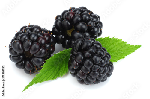 blackberries with green leaf isolated on white background. macro