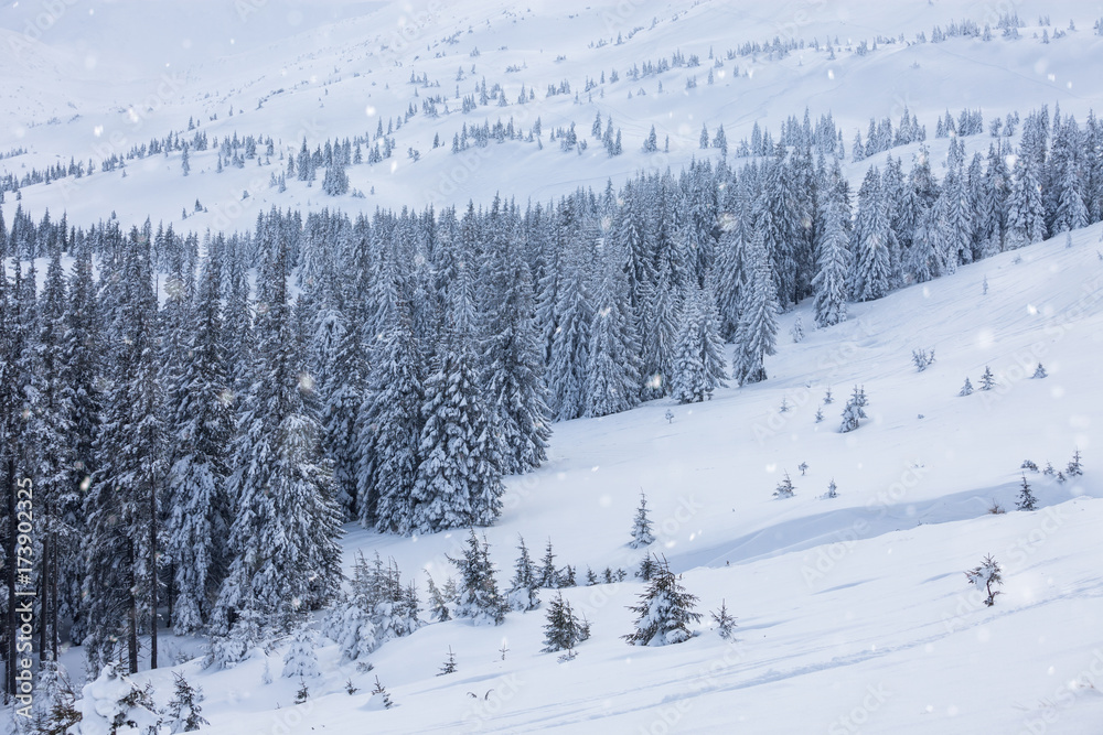 Beautiful winter alpine mountain snowy hills Beautiful winter alpine mountain snowy hills