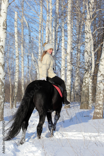 Pretty blonde woman riding her black horse through birch woods at the edge of a snowy