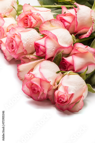 bouquet of pink rose flowers on white background