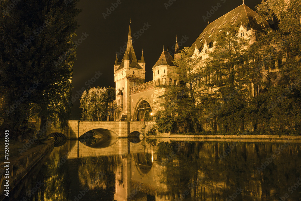 Obraz premium Vajdahunyad Castle on a summer night in Budapest