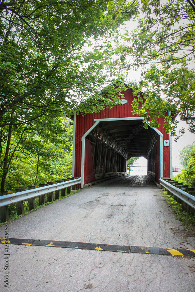 old covered bridge in the forest