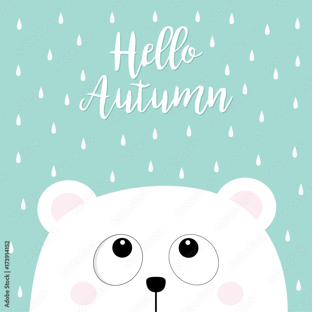 Hello autumn. Polar white little small bear cub head face looking up to rain drops. Big eyes. Cute cartoon baby character. Arctic animal collection. Flat design Blue background Isolated. Hello autumn. Polar white little small bear cub head face looking up to rain drops. Big eyes. Cute cartoon baby character. Arctic animal collection. Flat design Blue background Isolated.