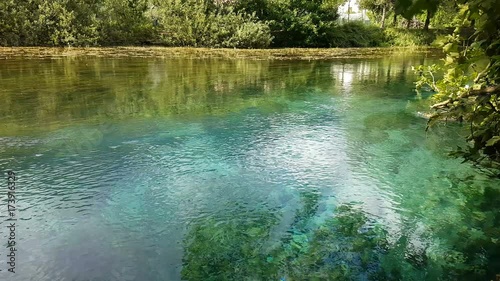 Limpid azure water  of the Santissima karstic source where the river Livenza is born with mirrored trees, Caneva, Italy photo
