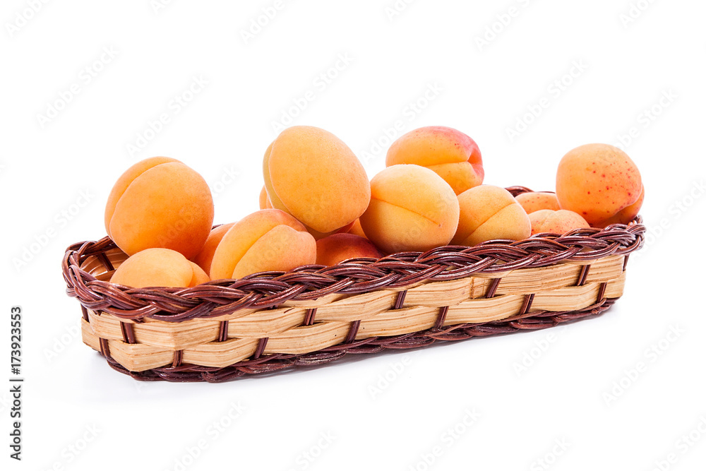 Several of harvested apricots in basket on white background..