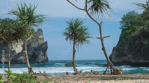 Pandanus tectorius tropical palm on the beach in front of rock on the Atuh Beach in Nusa Penida island, Klungkung, Bali, Indonesia photo