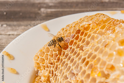 Close up view of the working bee on the honeycomb with sweet honey. Sweet honey in the white plate on wooden background.