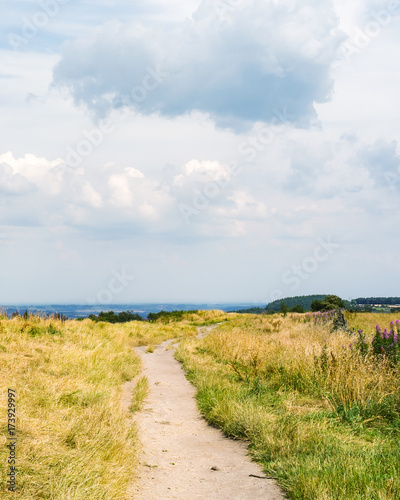 Dirt track leading through English countryside near Leeds. Otley Chevin Forest Park is located in the Wharfe Valley and overlooks the market town of Otley.