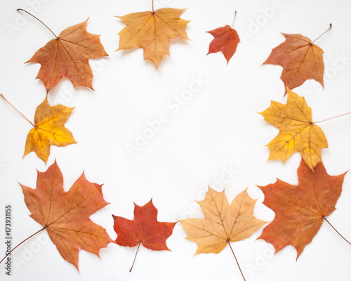 Autumn frame with leaves on white background